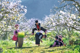 Việt Nam  - Mộc Châu