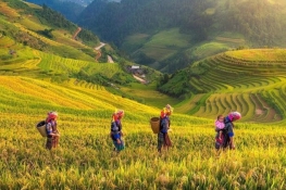 Vietnam - Yen Bai