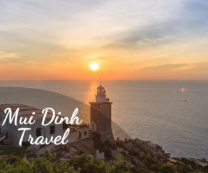 Top 5 Exciting Activities To Experience In Mui Dinh