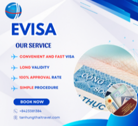 EVisa (Electronic Visa) 