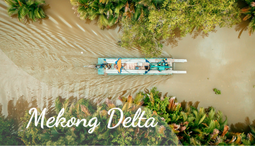 Discover the Best of Ho Chi Minh City and Mekong Delta in Just One Day