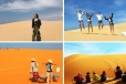 Mui Ne One-Day Tour: Explore Fishing Village, Sand Dunes, and Scenic Beaches