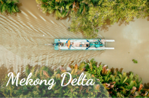Discover the Best of Ho Chi Minh City and Mekong Delta in Just One Day