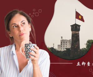 哪家公司为中国游客提供最佳越南旅游服务? 哪家公司为中国游客提供最佳越南旅游服务?