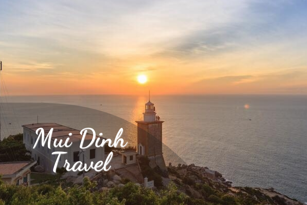 Top 5 Exciting Activities To Experience In Mui Dinh